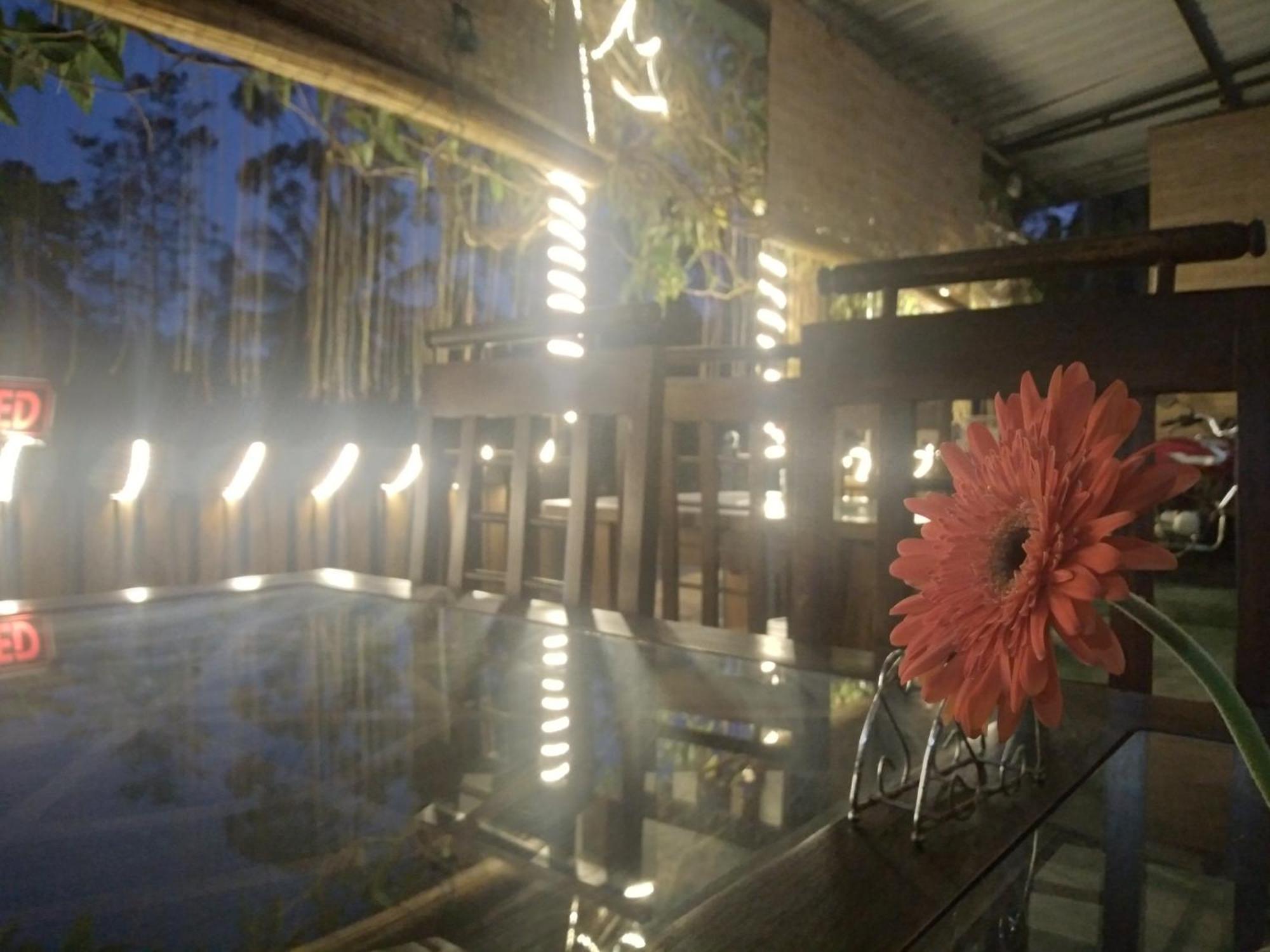 Ella Nature Life Guest & Restaurant -Free Pickup From Элла Экстерьер фото